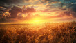 © Steven - A vast field under a dramatic sunset sky with golden light and clouds creating a stunning natural landscape