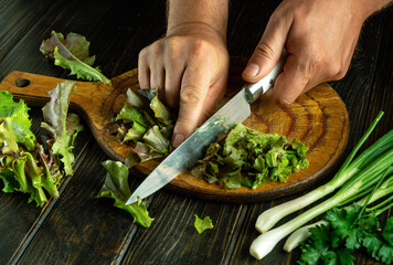 Canvas Print - Preparing a salad from fresh vegetables. Cutting lettuce with a knife in the cook hand on a kitchen board.