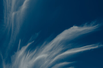 Poster - Blue sky with thin wispy clouds. 