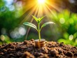 © Man888 - A small seedling sprouts from a shiny coin on the ground, symbolizing financial growth and prosperity, with lush green leaves rising towards a bright future ahead.