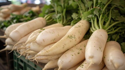 White daikon, also known as white radish, is a type of radish commonly used in Asian cuisine. It has a long, cylindrical shape and a mild, slightly sweet flavor.