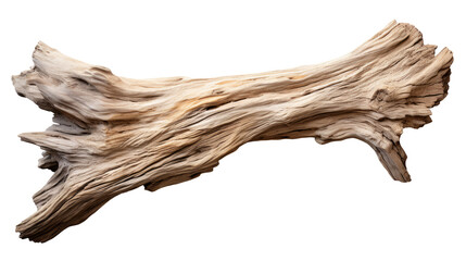 Wall Mural - driftwood log isolated on transparent background