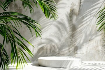 Wall Mural - a white podium display stand sits against a rough concrete wall, with palm tree leaves and shadows c