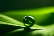 © Putra_hl - Macro shot of a dewdrop on a green leaf in the early morning light
