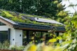 © Elmira - Modern home with green roof, solar panels, and lush landscaping nestled in nature for serene, sustainable living