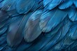 © Elmira - Closeup of overlapping, delicate blue bird feathers creating a textured background
