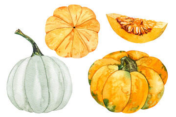 Orange and white pumpkin, autumn set of elements. Watercolor illustration of pumpkins of different varieties and different shapes. Hand drawn, autumn still life with pumpkins