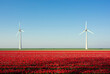 © Westend61 - Red tulips with wind turbines on field under sky