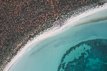 Wall Mural - Aerial picture of the big lagoon the shark bay. Aerial view of red land, beach and blue water. Francois peron national park in Western Australia.