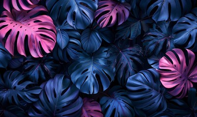 Purple, blue and pink palm and monstera leaves on a dark background. a pattern of leaves of a tropical palm tree. Botanical illustration. The theme of recreation, travel, tourism.