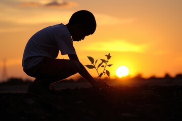 Poster - Boy growing a plant backlighting silhouette outdoors.