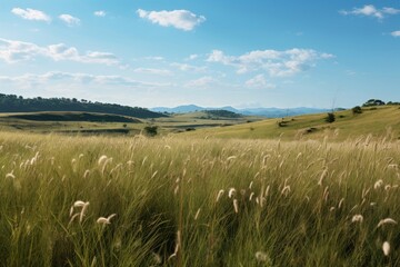 Wall Mural - Grassland landscape outdoors horizon.