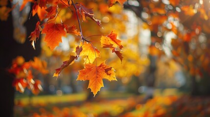 Wall Mural - Hanging Tree Leaves