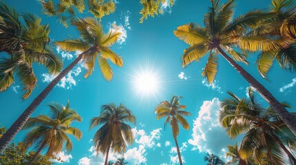 Sticker - A sunny tropical background with palm trees and a blue sky. A view from below. High quality photo