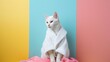 © Emma - Cute white cat is sitting in a white bathrobe isolated on colorful background