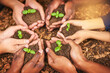 © AK Coop/peopleimages.com - Hands, friends and soil with plants, teamwork and environment with climate change. Closeup, agriculture and people with ecology, growth and earth day with support, sustainability and eco friendly