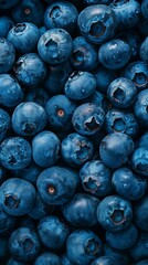 Wall Mural - Photo of blueberries