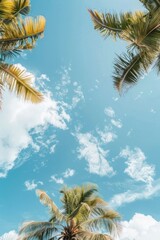 Poster - Palm trees cloud sky outdoors.