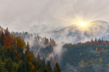 Wall Mural - Colorful autumn morning in the Carpathian mountains. Ukraine.