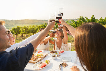 Happy adult friends having fun drinking red wine and eating together with vineyard in background - Multiracial people doing appetizer at summer time in countryside resort - Main focus on hands