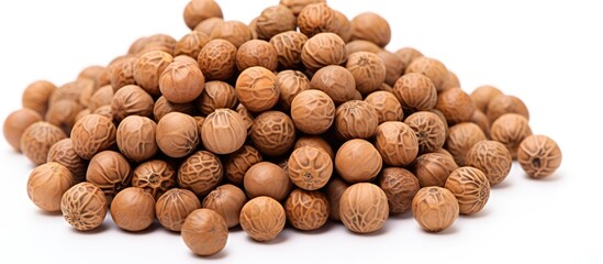 Poster - Coriander seeds isolated against white with copy space image.