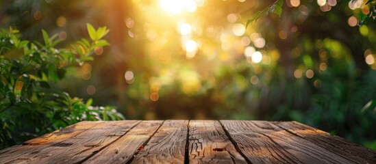 Poster - Blurry nature background with visible copy space image on the table top.