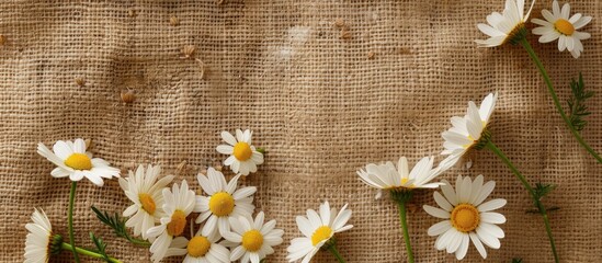 Aufkleber - Top view of chamomile flowers and white field daisies scattered on burlap, creating a scenic backdrop suitable for design projects with copy space image.