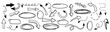 © Valeriia Bogdanova - Collection arrows in trendy style. Hand drawn, doodle. Vector. Textbox, bubbles. Frame. Editable stroke. Pencil and texture. Elements, shapes for design. Line and underline. Mark. Curves. Scribble