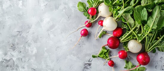 Sticker - Fresh French breakfast radish harvested in spring, displayed on a light background with copy space image, showcasing homegrown vegetables perfect for vegetarian diets.