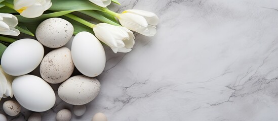Aufkleber - Spring and Easter theme displayed with gorgeous white tulips, vibrant quail eggs nestled in a nest, all on a light gray stone backdrop providing copy space image.