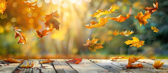 Poster - Autumn maple leaves on a wooden table create a falling leaves natural background with copy space image.