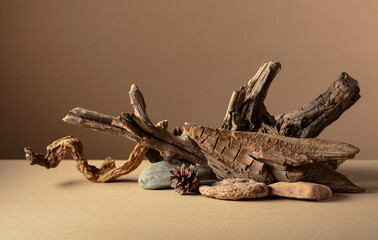 Wall Mural - Abstract nature scene with a composition of stones and dry snags.