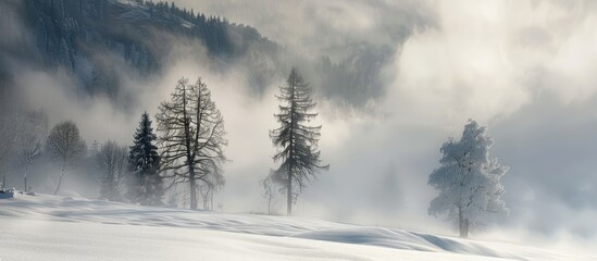 Sticker - Scenic mountain blizzard with clouds, fog, and trees in mist on a snow-covered meadow on a cold winter morning, creating a magical copy space image.