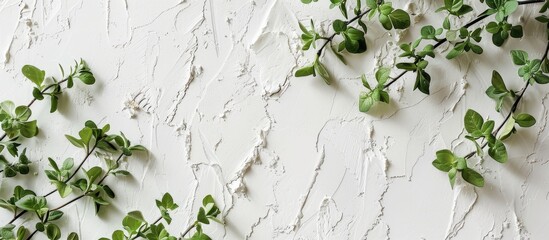 Poster - A white textured background with mint branches, providing ample copy space in a top view horizontal photo.