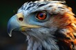 © JONATAS - Colorful eagle muzzle look, generative IA
