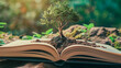 © Creative mind - Concept of learning and wisdom expansion with open book showing a tree sprouting from it on nature backdrop.