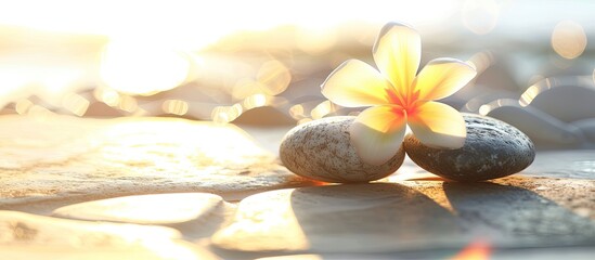 Leinwandbilder - A tropical flower placed on two stones for a massage treatment set against a white background with sunlight creating a peaceful ambiance for the copy space image