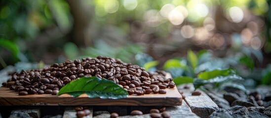 Aufkleber - Selective focus on coffee beans arranged on a wooden board in a garden with natural lighting creating a serene copy space image