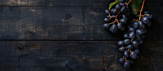 Poster - Top view of a black grape branch against a dark wooden backdrop showcasing a botanical berry plant ideal for promoting healthy eating with ample copy space for text