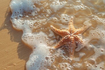 Wall Mural - Starfish in the foamy waves on a sandy beach.