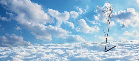 Poster - Scenic view of snow against a backdrop of a blue sky with clouds and a stick in the foreground in the copy space image