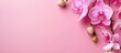 © vxnaghiyev - Pink orchid on a blank background with space for text or other elements commonly referred to as a copy space image