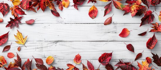 Fototapete - Beautiful rustic autumn background or web banner featuring a top view of a border made of red and yellow autumn leaves on a white wooden surface providing copy space for text
