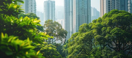 Wall Mural - Lush green trees contrasting with modern cityscape buildings in a copy space image