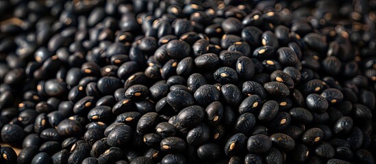 Poster - Close up of urad dal also known as black gram or vigna mungo against a background with available space for text. with copy space image. Place for adding text or design