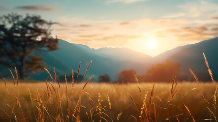 Poster - sunrise in the mountains