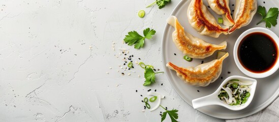 Poster - Top view of fried gyoza dumplings with soy sauce and onion on a light gray background with space for text or other elements within the image. with copy space image. Place for adding text or design