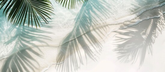 Poster - Summer holiday backdrop featuring a tropical beach with white sand palm leaf shadows ideal for travel and beach vacation themes with a copy space image for text