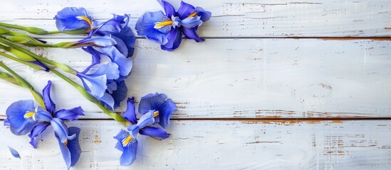 Poster - Beautiful blue iris flowers on a vintage white wooden board with copy space image
