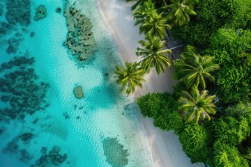 Wall Mural - Beautiful aerial view of a tropical island with a white sandy beach and turquoise water